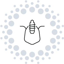 Dental Implants icon